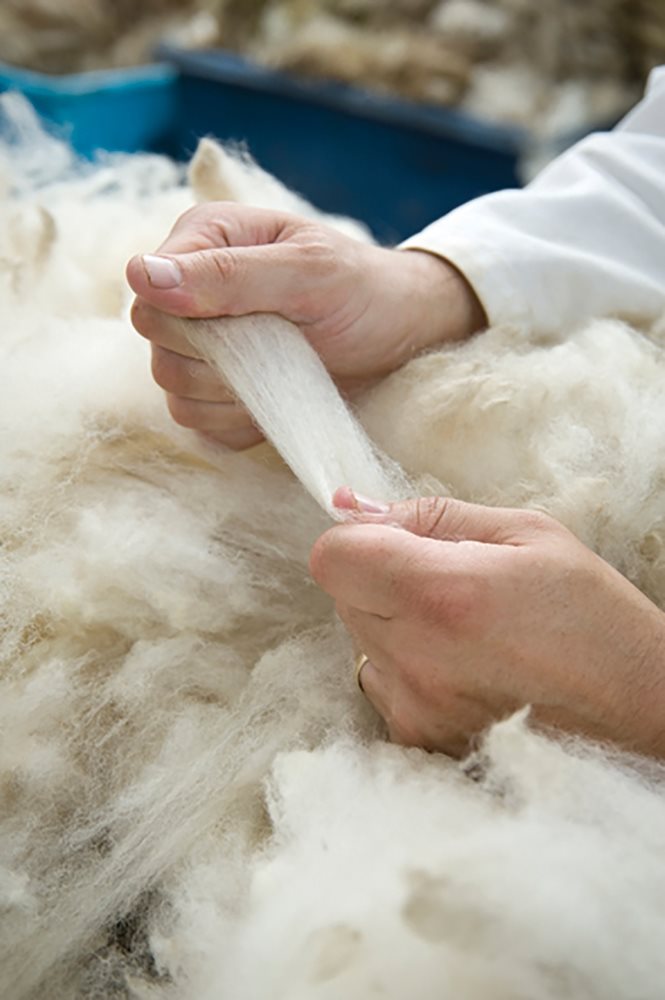 Maximise the value of your wool clip