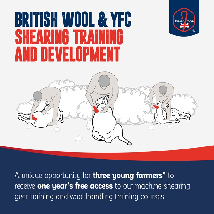 British Wool and young farmers gearing up for the shearing season