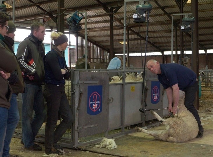 Shearing training designed to fit around you: Richard Schofield