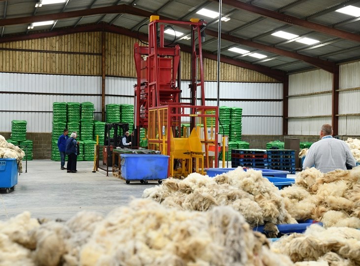 Wool Market Recovery Has Started