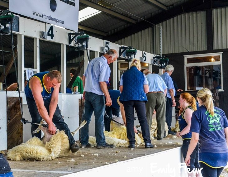 Cumbrian Farmer to represent England in world shearing competition