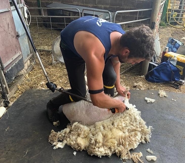 British Wool chats with shearer, Paul Bowden and wool handler, Emily Gould