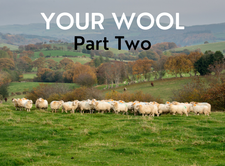 Your Wool - a guide to the auction process: Part Two: