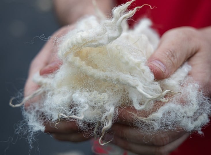 New research project looks to improve future for UK wool industry