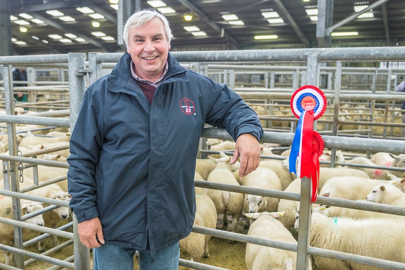 Re-elected Board Member for British Wool’s English Northern Region