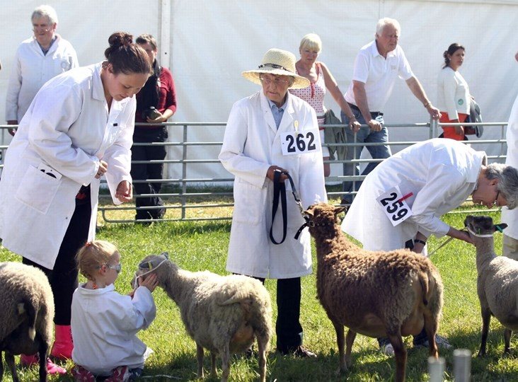 The Royal Cheshire County Show