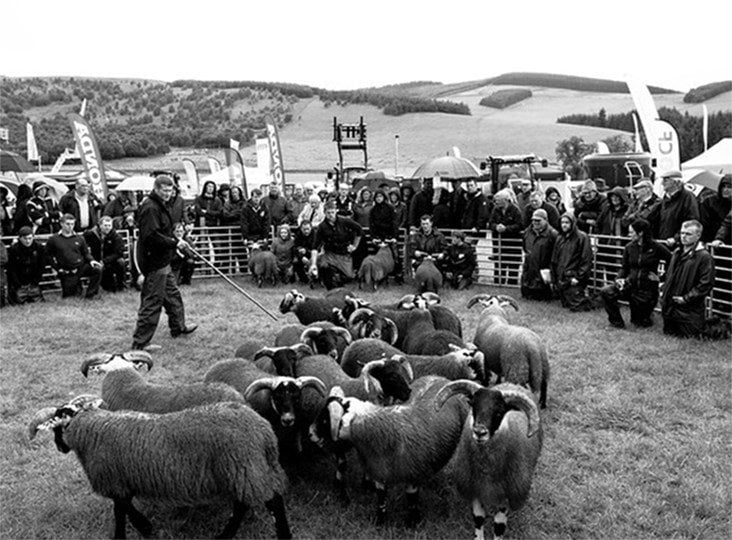 Peeblesshire Agricultural Show, Cardrona