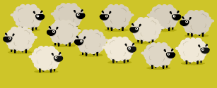 Count the sheep