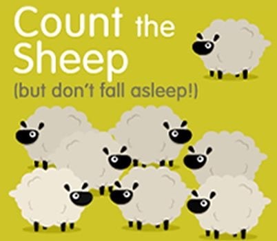 Count the sheep