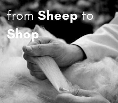 From Sheep to Shop