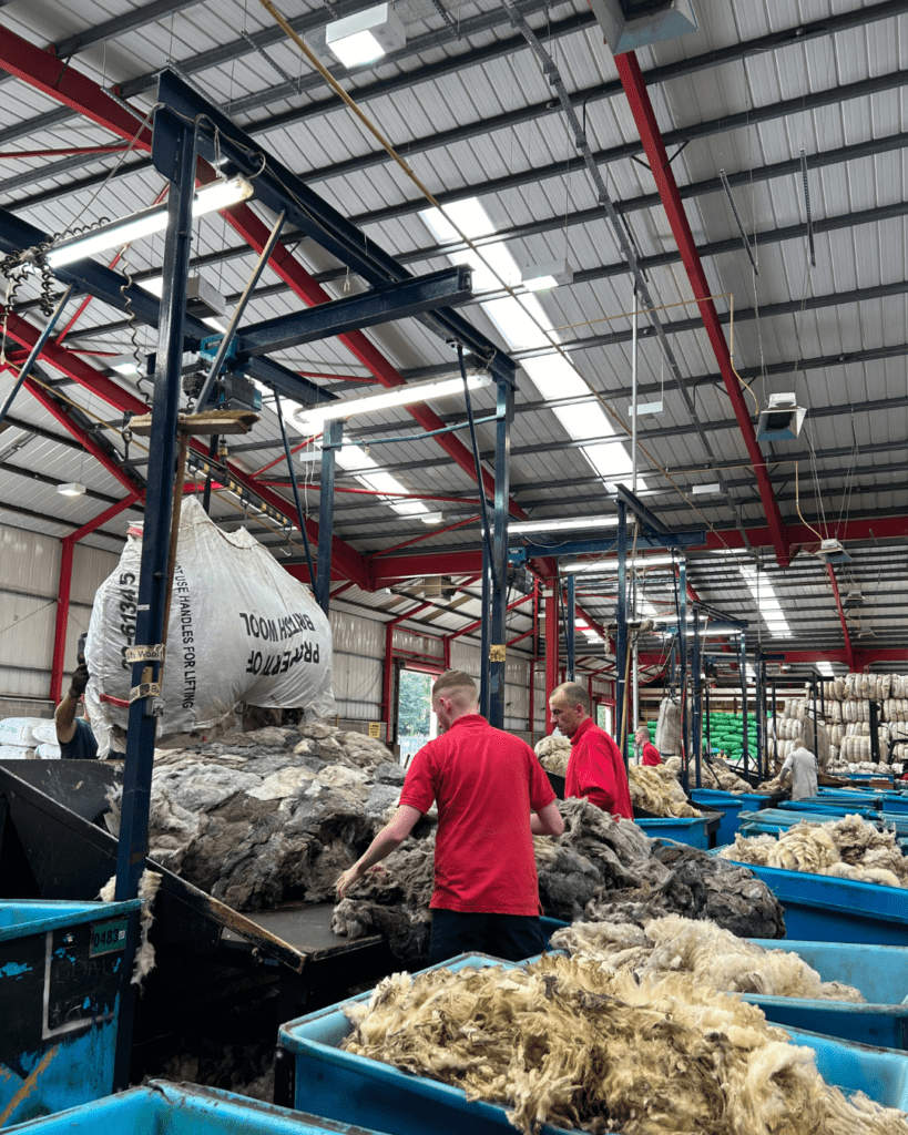 Graders emptying wool sheet to putting into different grades
