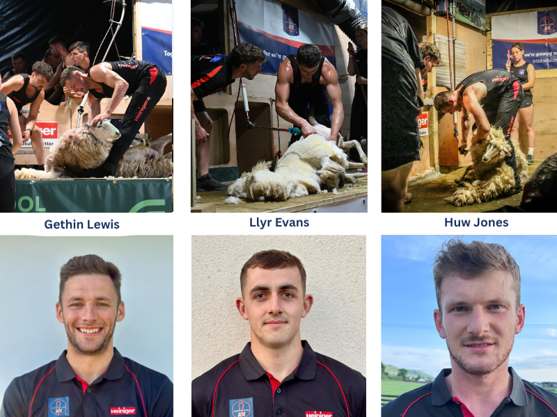 Shearing Record - July 2025
