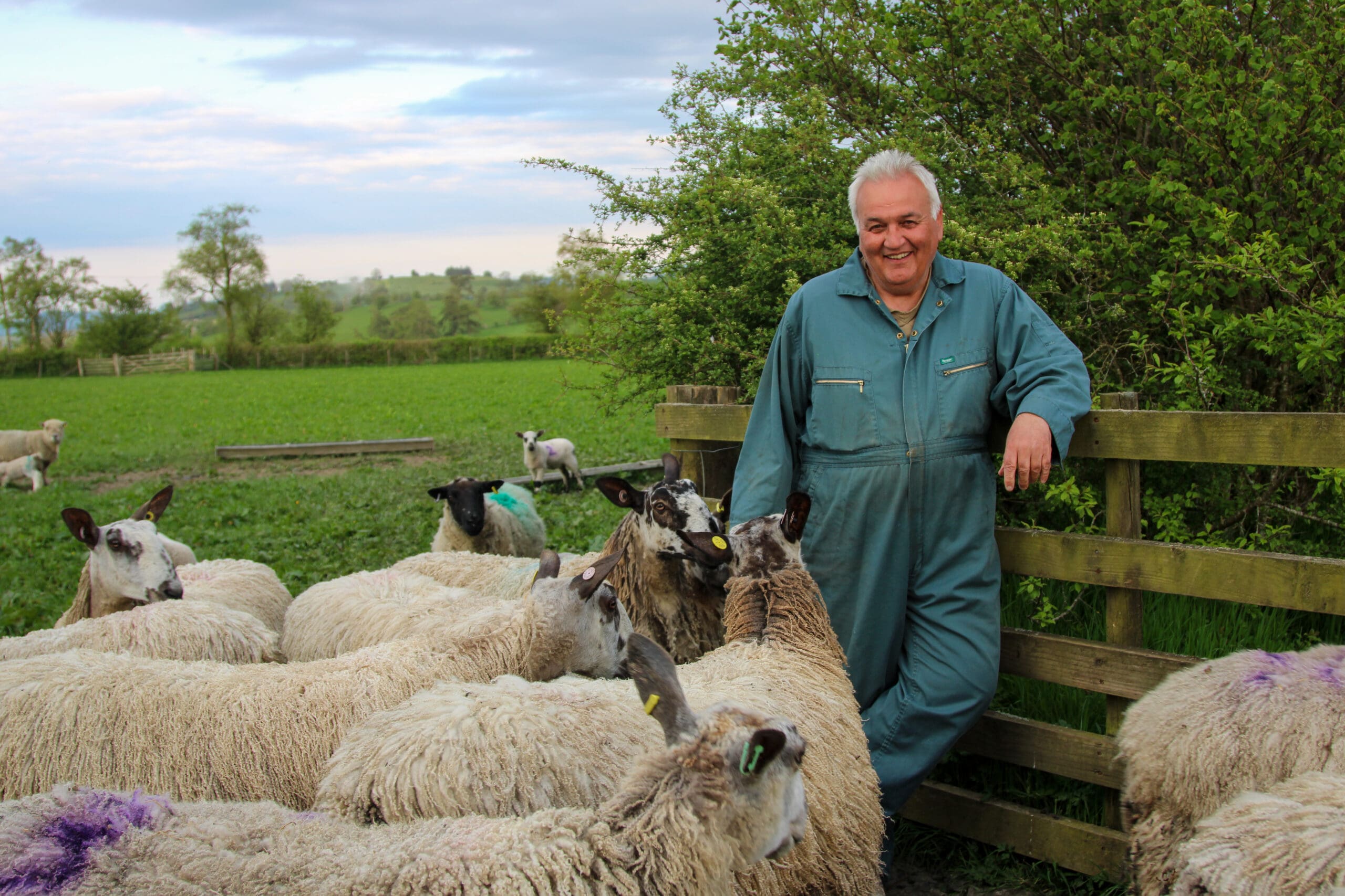 Wyn Williams: From Family Farm to Industry Leadership - British Wool
